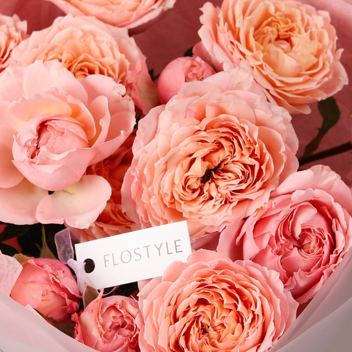 kustovaya roza dzhuletta 783